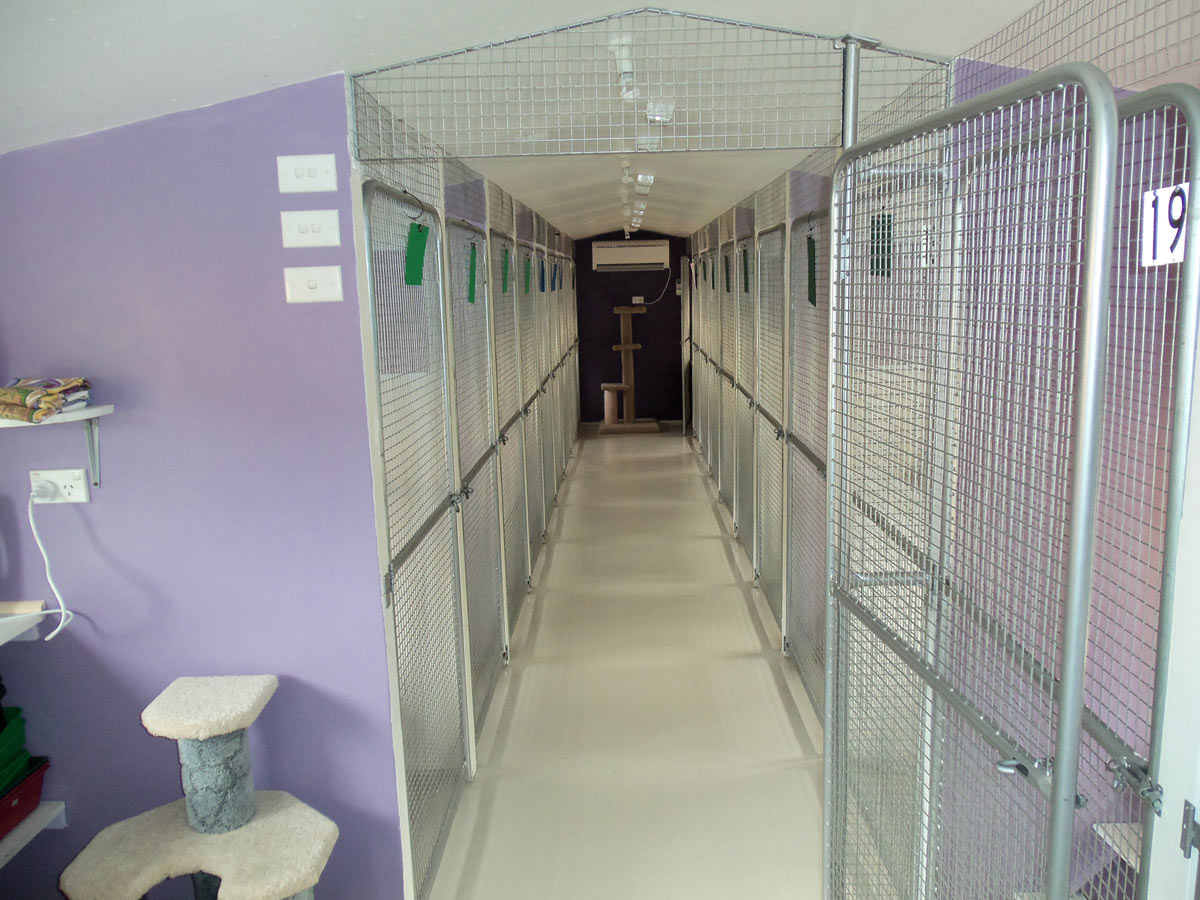 Little Paws Deluxe Boarding Cattery Cattery Dromedary