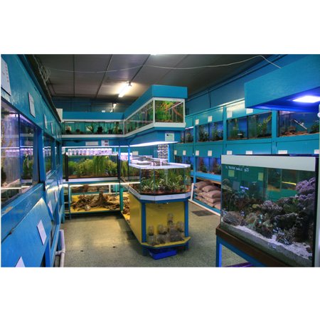 auburn aquarium pet centre on domayne centre 115 auburn aquarium pet centre on domayne centre 115
