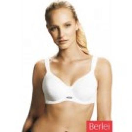 why was lion penis removed coat of arms impressions lingerie