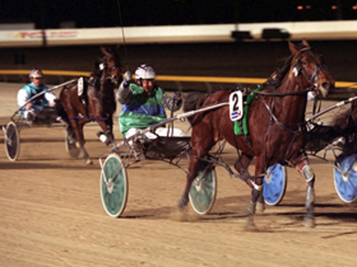 Bendigo Harness Racing Industry Training Centre Training, Mentoring & Development Junortoun