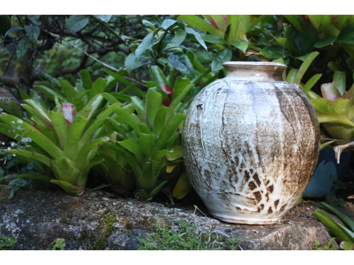 Clay Shed The Pottery Equipment & Supplies Unit 2/ 24 Hi Tech Dr