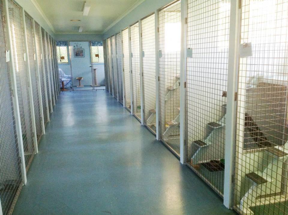 Clyde River Pet Lodge Dog Boarding Kennels Cnr Kings Hwy and Rotary