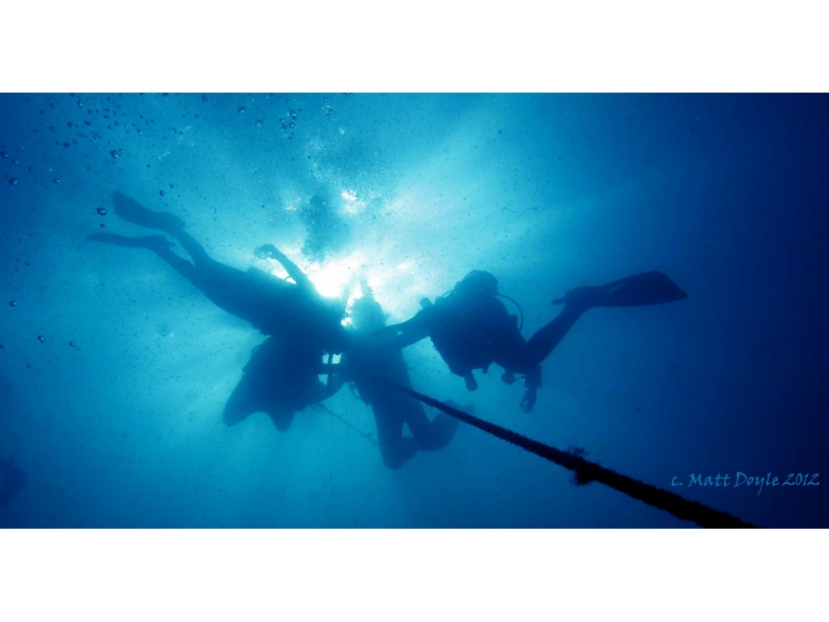 Feet First Dive Scuba Gear 17/ 34 Stockton St Nelson Bay