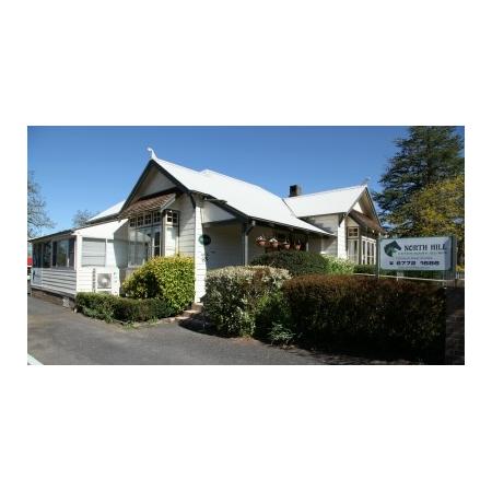 North Hill Veterinary Clinic On 133 Marsh St Armidale Nsw 2350