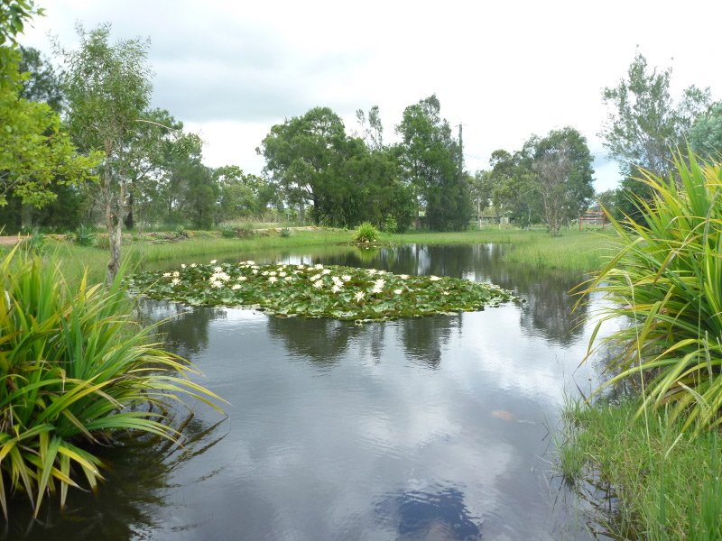 A1 Realty Wide Bay on 102 Churchill St, Childers, QLD 4660