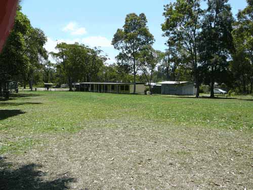 Dog Walking Newcastle Nsw Dog Walking Newcastle Nsw