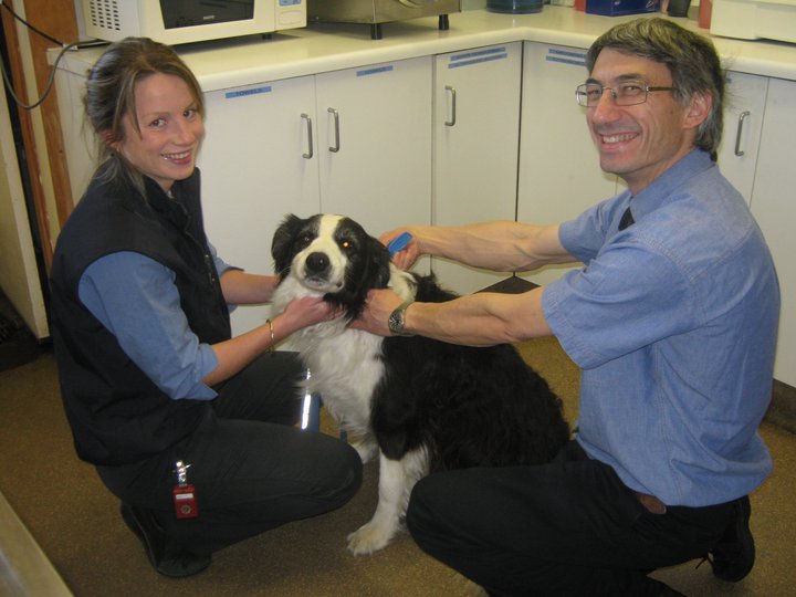 Kingston Animal Hospital Vets & Veterinary Surgeons 1 Freeman St