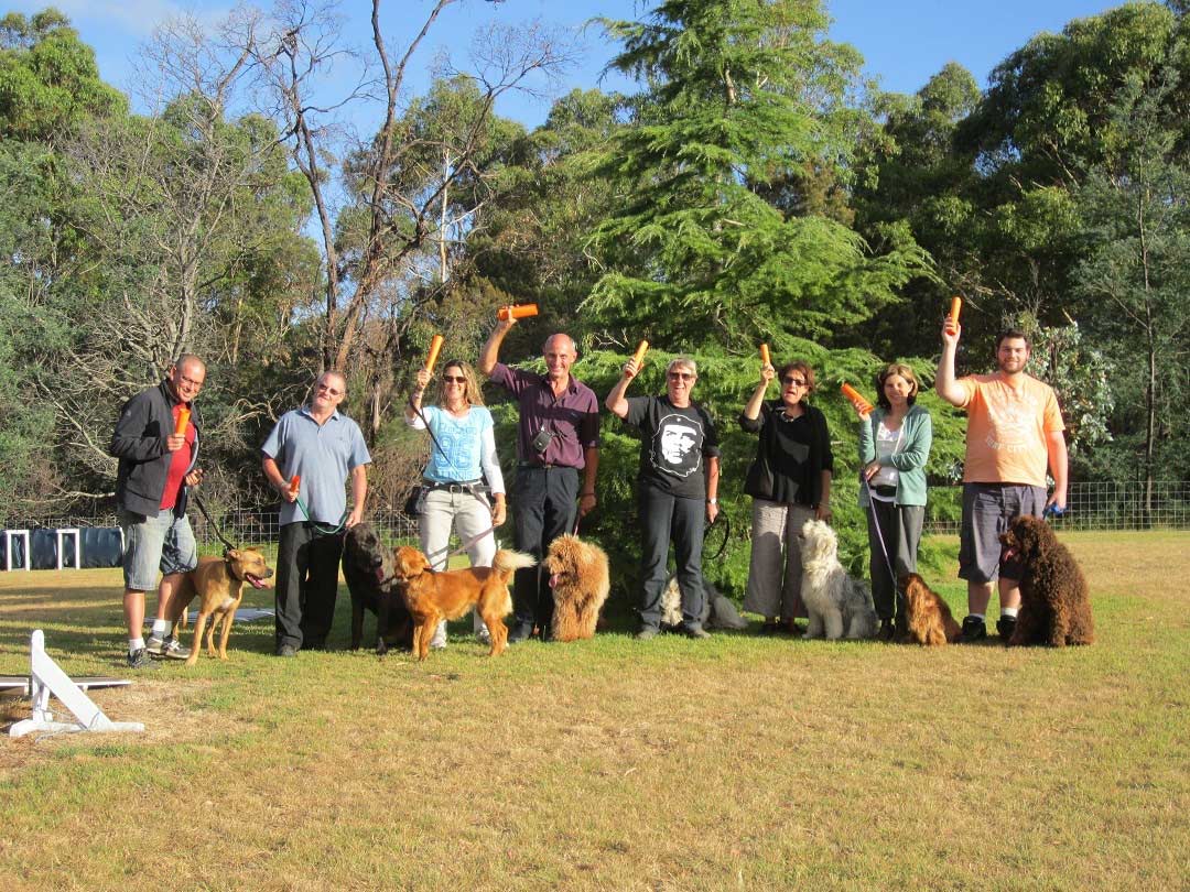 East Coast Veterinary Clinic Vets & Veterinary Surgeons 67 Quail St