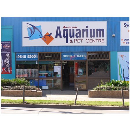 auburn aquarium pet centre aquariums aquarium auburn aquarium pet centre aquariums aquarium