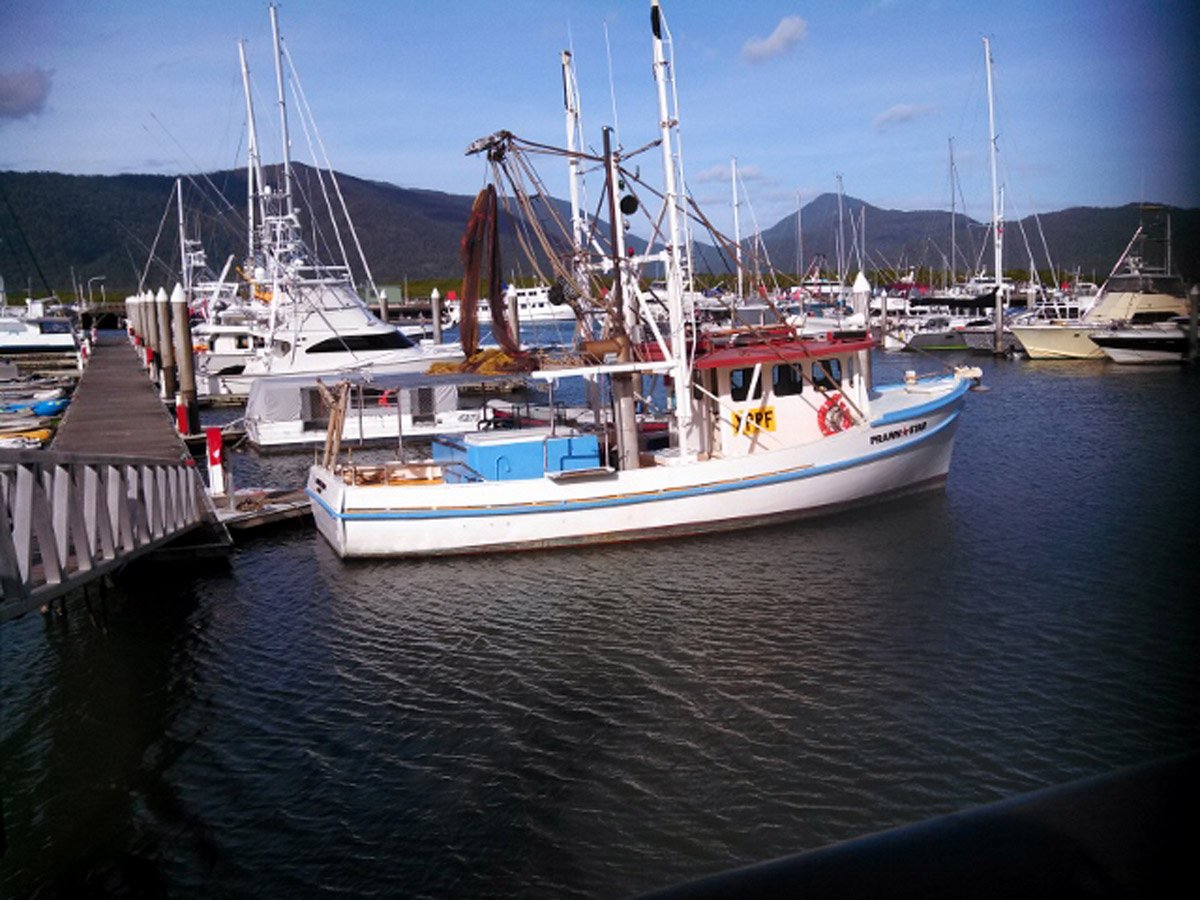 PRAWN STAR CAIRNS SEAFOOD OFF THE TRAWLER MARLIN MARINA CAIRNS CITY
