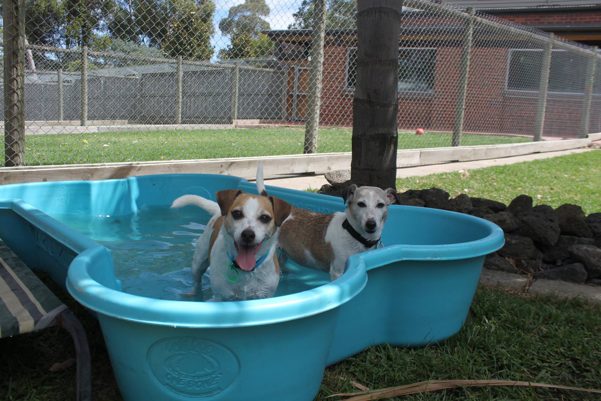 Cottage Kennels & Cattery Dog Boarding Kennels 248 Yan Yean Rd Plenty