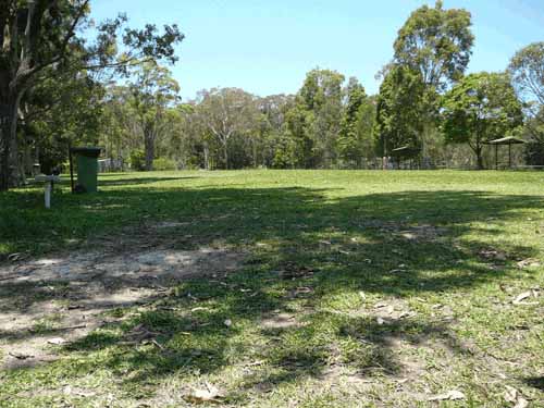 Dog Agility Training Newcastle Nsw Dog Agility Training Newcastle Nsw