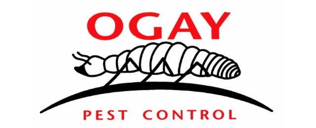 Ogay Ogay