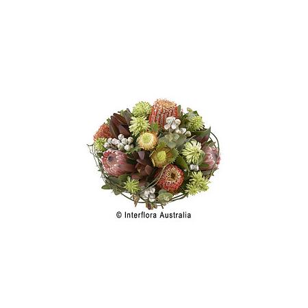 mexicana j adore flowers cairns mexicana j adore flowers cairns