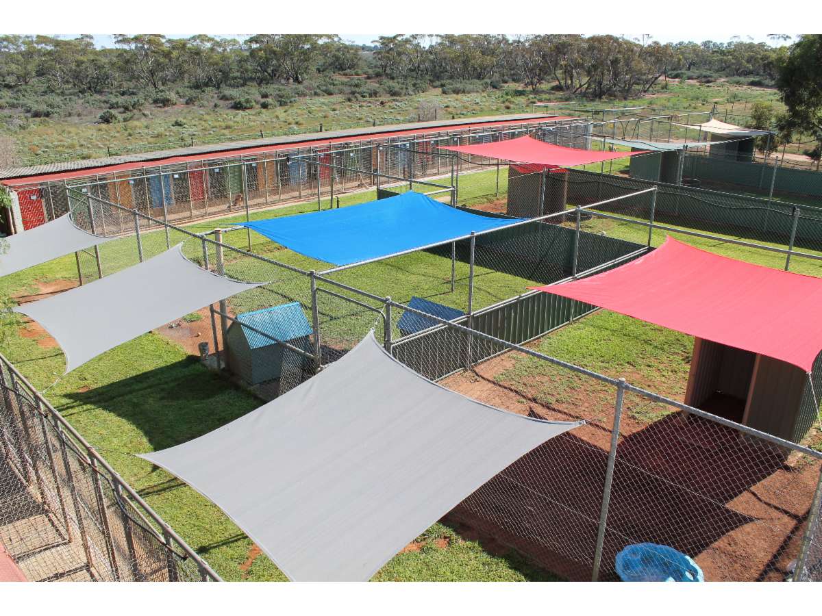 Paws Resort Dog Boarding Kennels 242 Oak Ave Birdwoodton