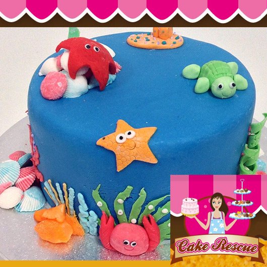 Cake Decorating Supplies Cairns Qld Cake Decorating Supplies Cairns Qld