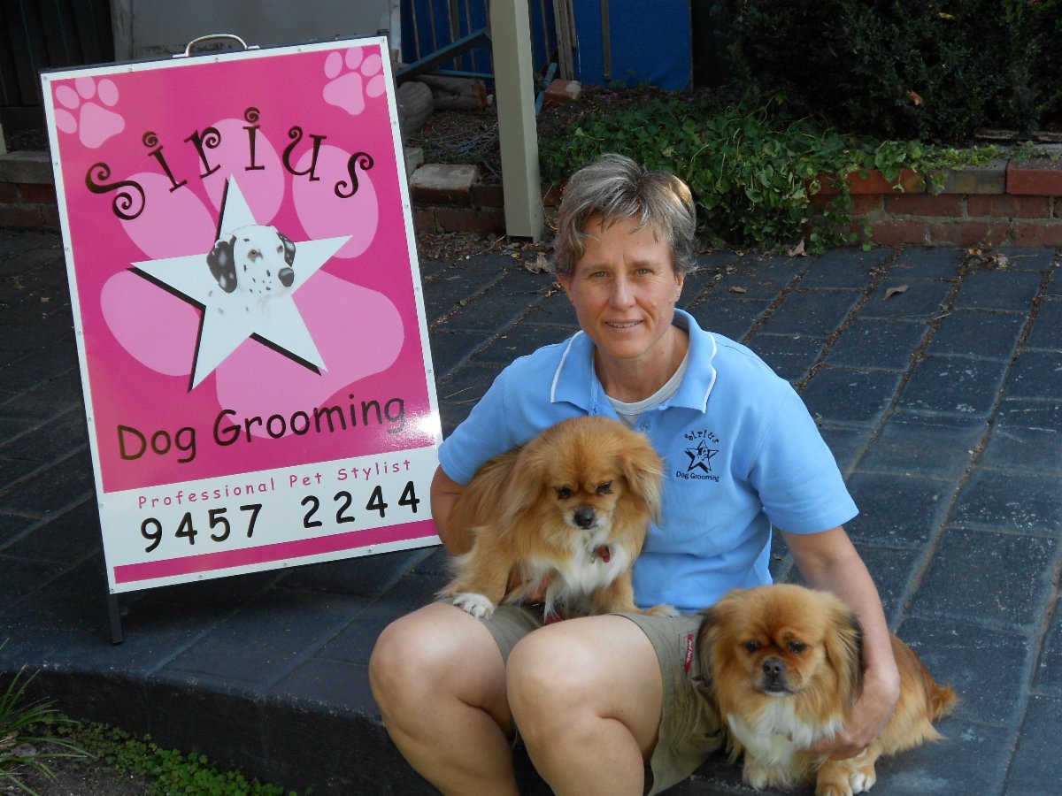 sirius puppy sirius grooming cat clipping grooming 1 23 edward st macleod sirius puppy sirius grooming cat clipping grooming 1 23 edward st macleod