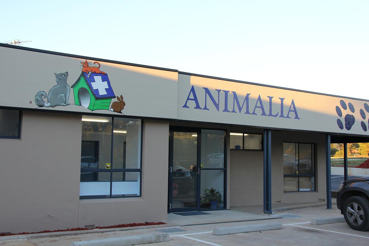Main North Road Vet Services Vets & Veterinary Surgeons 60 Adelaide