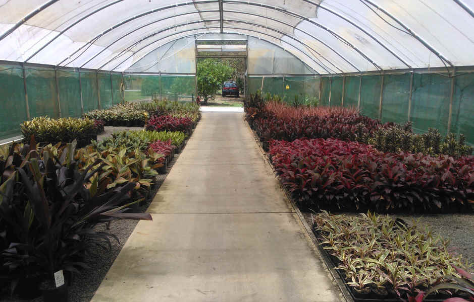 Aspley Nursery Nursery & Garden Supplies Wholesale 106 Hunt Rd