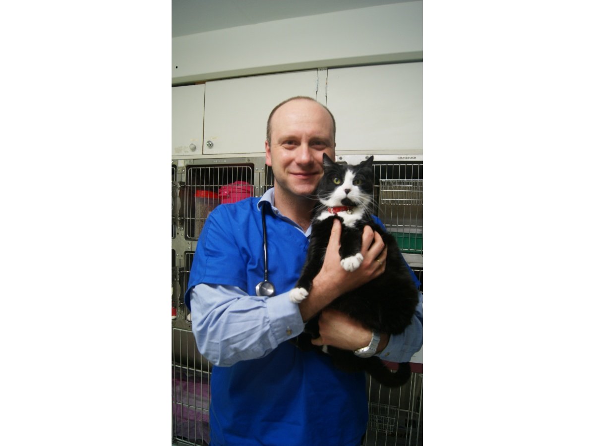 Weston Woden Animal Hospital Vets & Veterinary Surgeons 176 Dixon Dr Holder