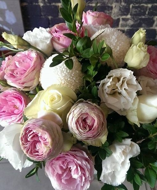 Scooter Flowers Florists 11 Gurwood St Wagga Wagga