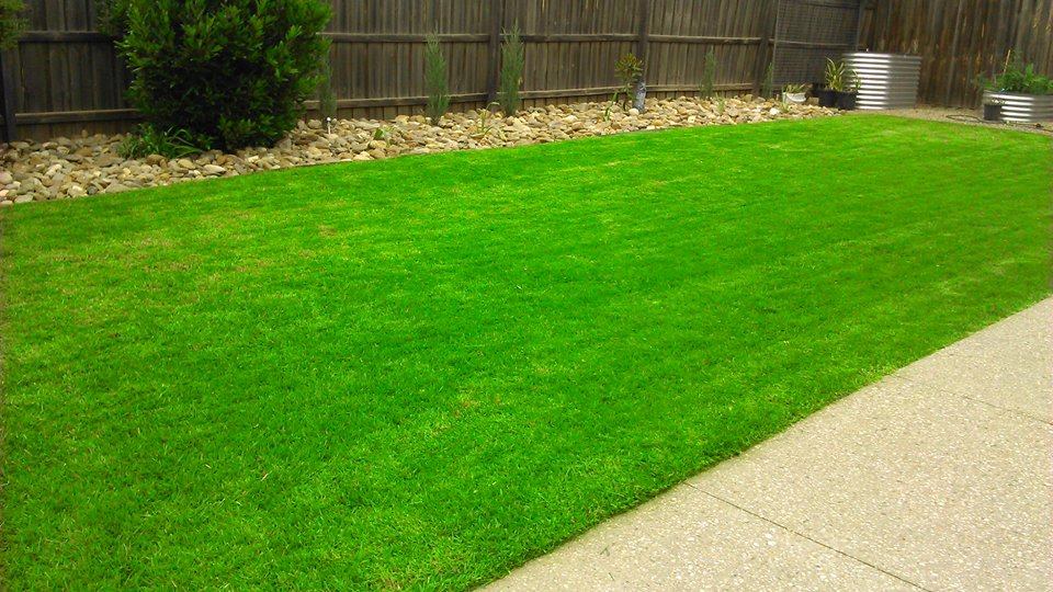 Luscious Lawns and Gardens Lawn Mowing Services Tarneit