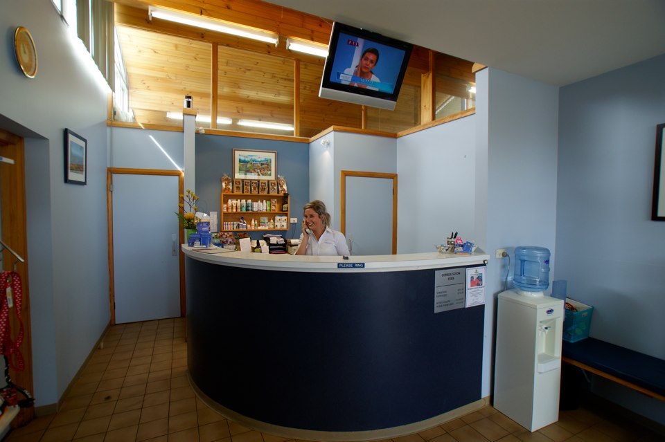 Kingston Animal Hospital Vets & Veterinary Surgeons 1 Freeman St