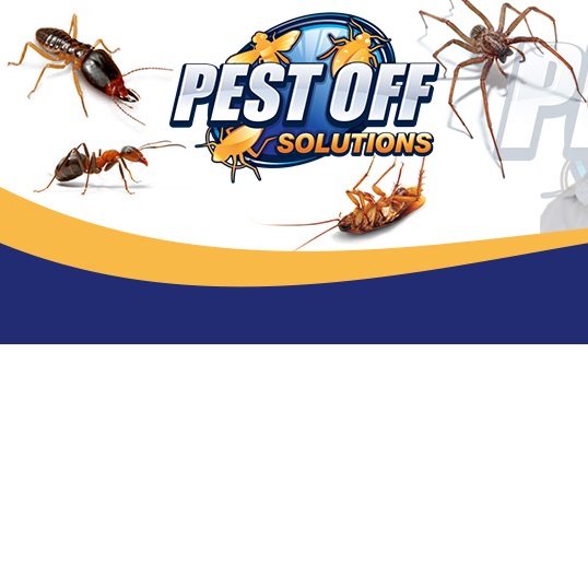 Pest Off Solutions Pest Control Brinsmead