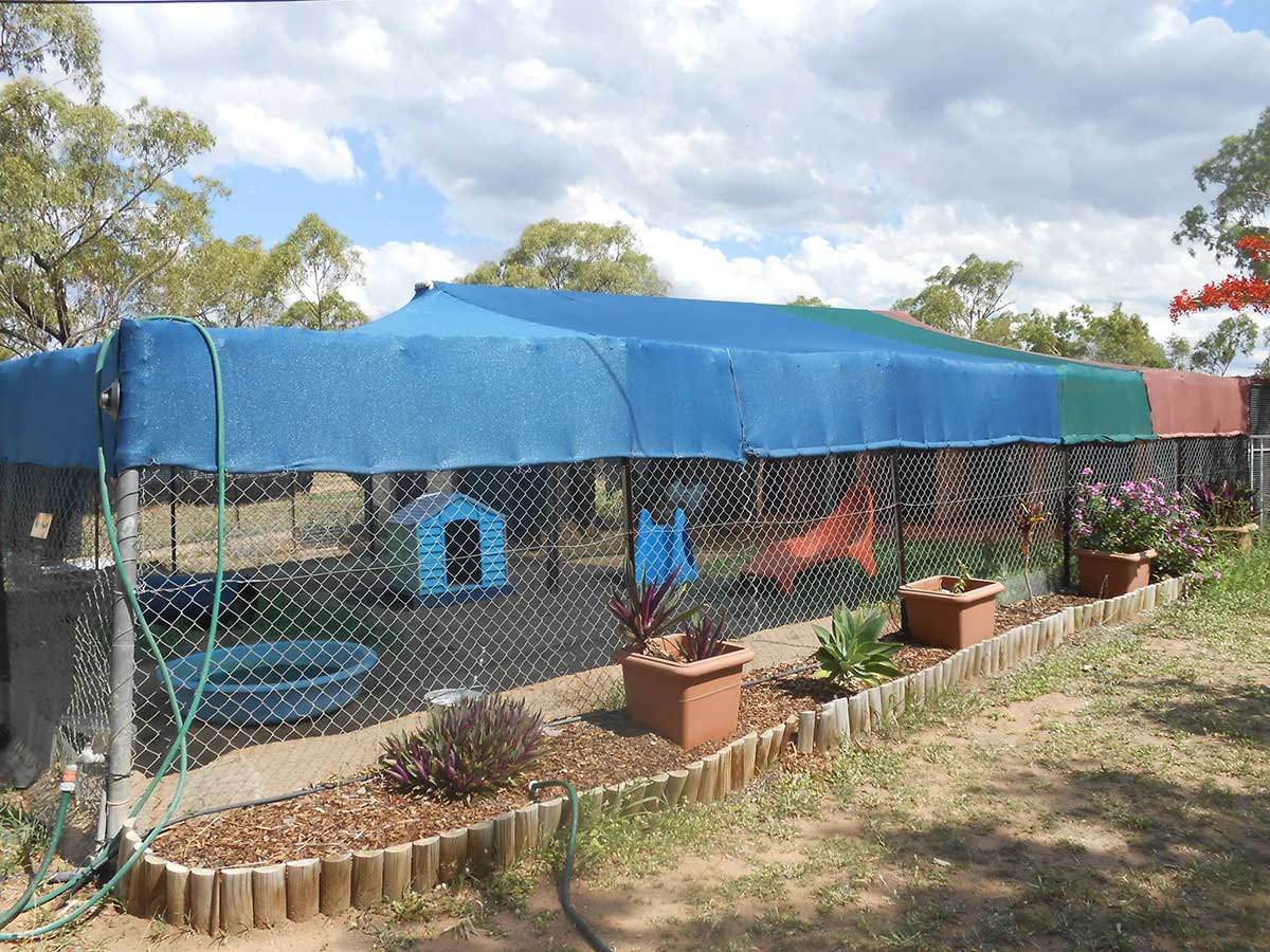 All bark kennels Clearance