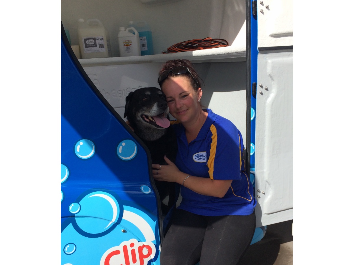 Best Dog Groomers Perth Best Dog Groomers Perth