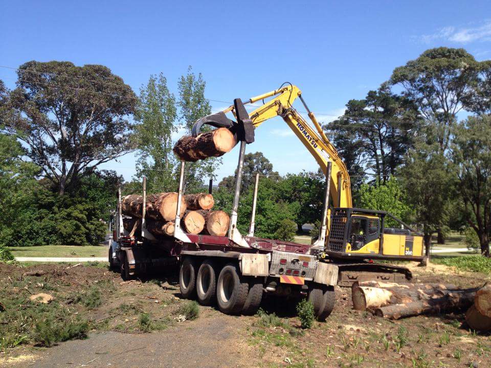 G & K Tree Removals - Tree & Stump Removal Services - Ferntree Gully