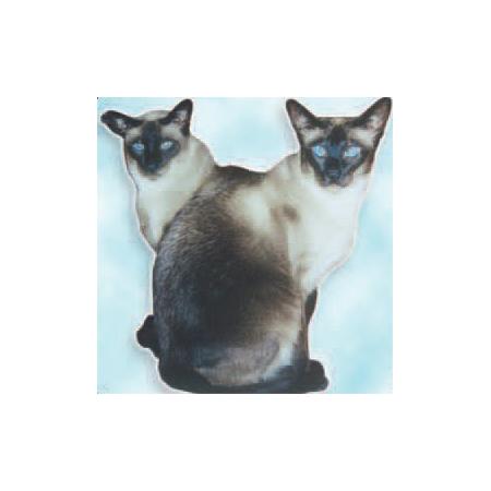 Petlink Petlink