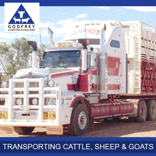 Godfrey Livestock Haulage Livestock Transport Services Cunnamulla