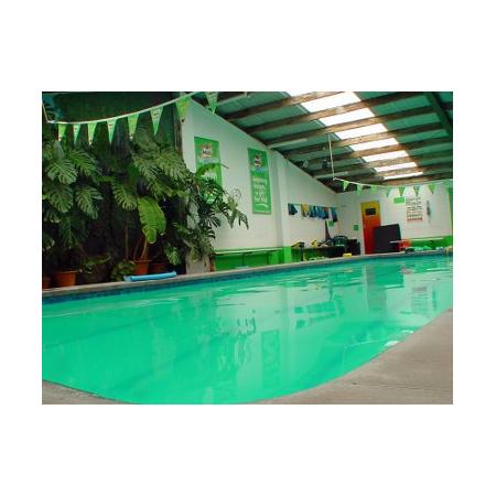 jodi harrison s swim central swimming lessons classes jodi harrison s swim central swimming lessons classes