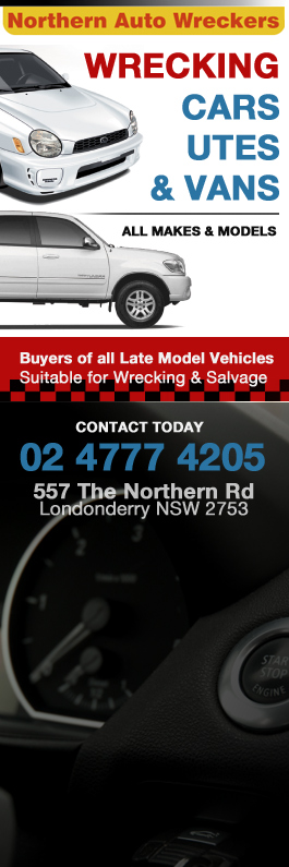 Northern auto We sell auto parts with emphasis on internal engine parts like pistons, rings, gaskets, bearings, camshafts, lifters, oil pumps, timing chaings and gears, valves and springs, rocker arms.