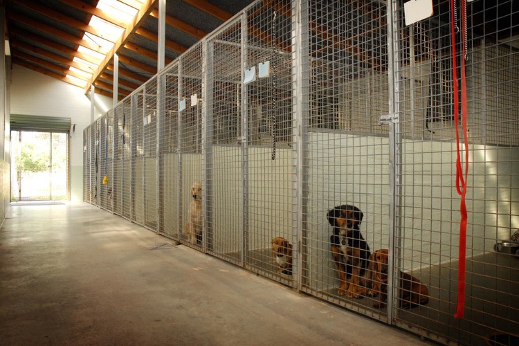 Clyde River Pet Lodge Dog Boarding Kennels Cnr Kings Hwy and Rotary