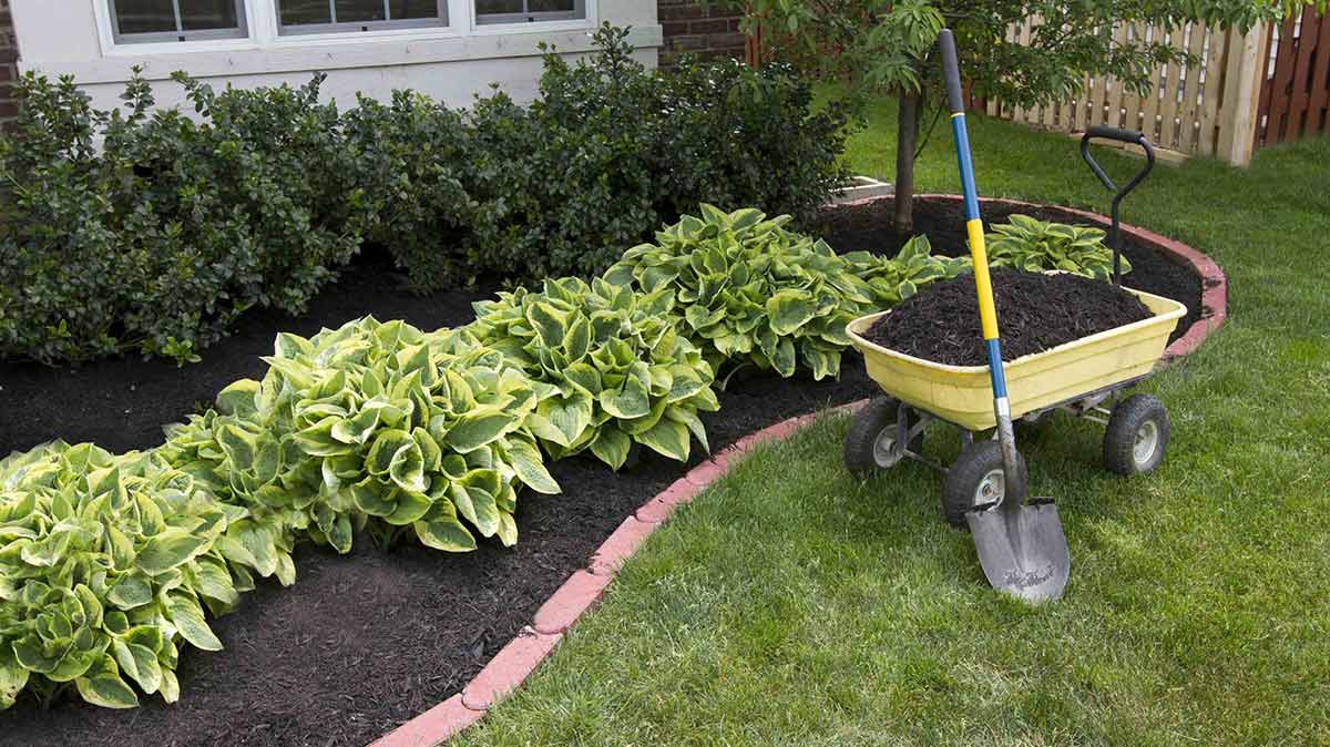 Image result for landscaping services