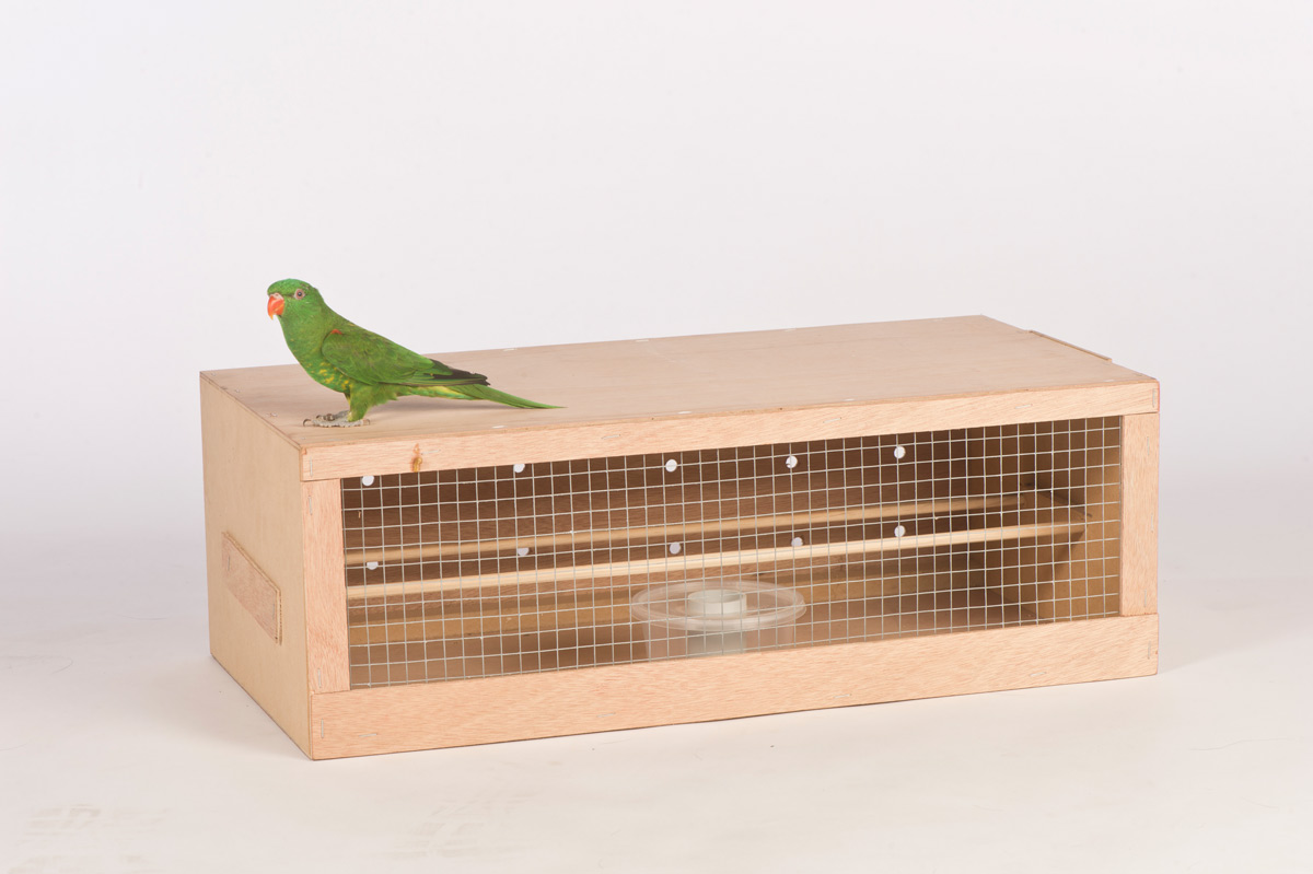 Jetpets Animal Transport Pet Transport Services TOWNSVILLE