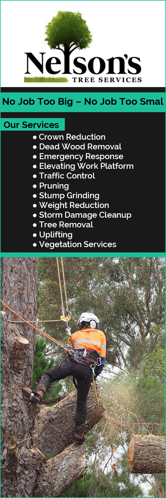 Nelson's Tree Services - Promotion