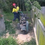 Branching Out Tree Care - Pic 2