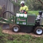 http://www.waratahprofessionaltreecare.com.au/