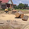 Phil's Tree Service - Pic 2