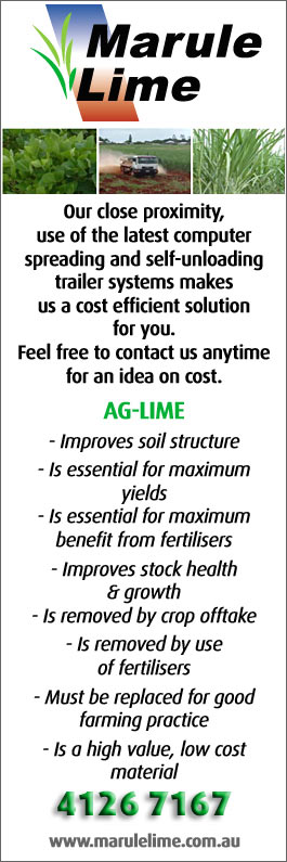 Marule Lime - Promotion