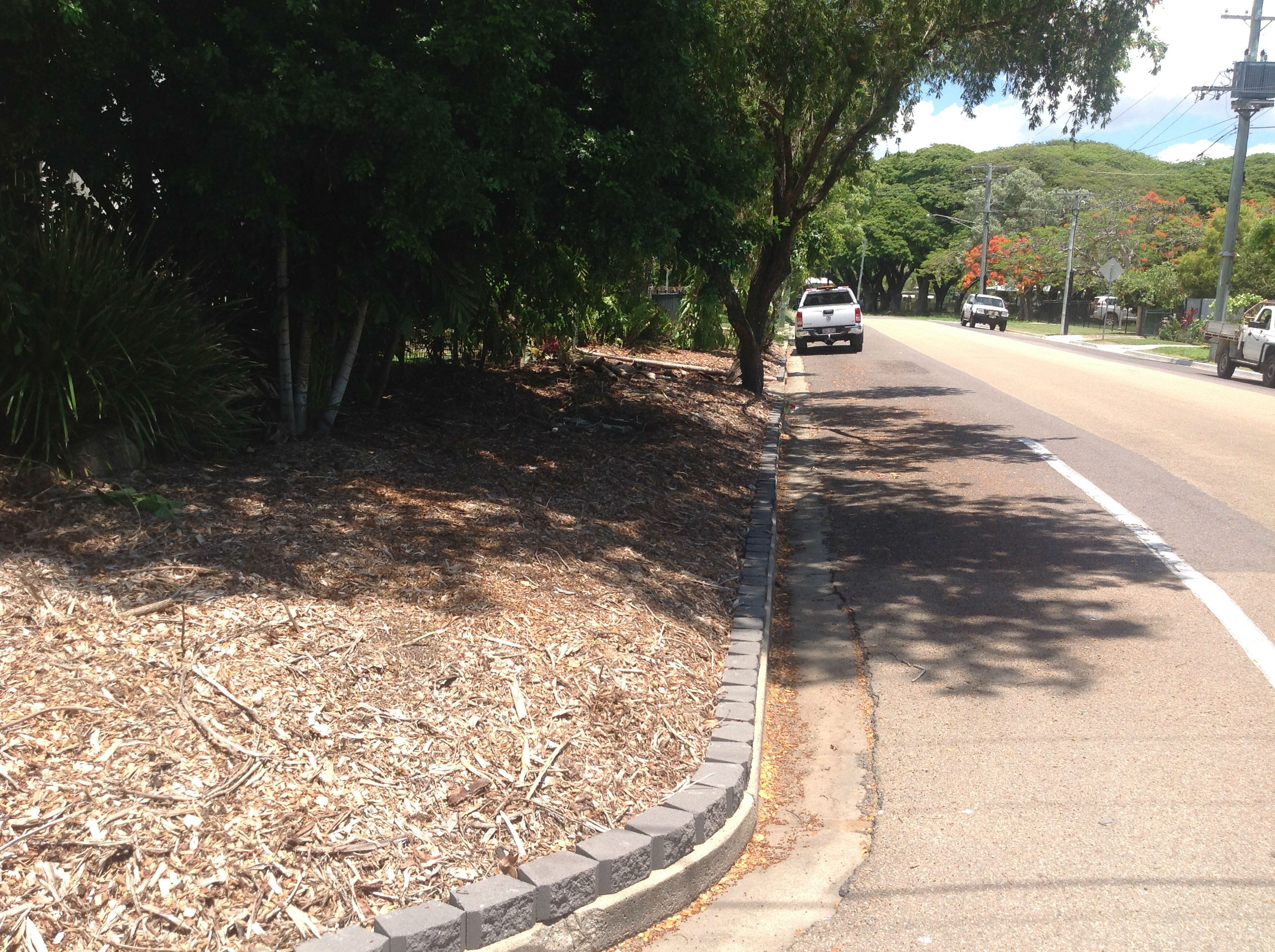 lawn and yard maintenance