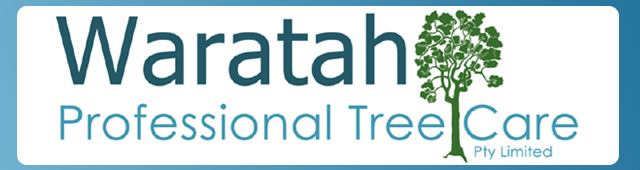 Waratah Professional Tree Care Pty Limited - logo