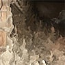 Pest Control Melbourne