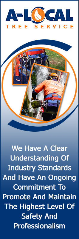 A-Local Tree Services - Promotion