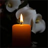 Divinity Cremations Services - Pic 6