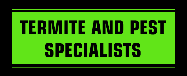 Picton Pest Control - Promotion 1