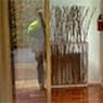 Lock Tight Glass & Shutter Service Pty Ltd - Pic 3